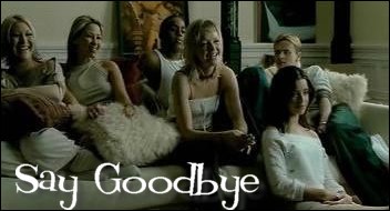 saygoodbyevideo.jpg